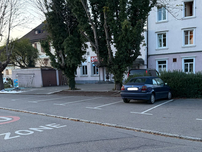 Rheinfelden-Emil-Frey-Str